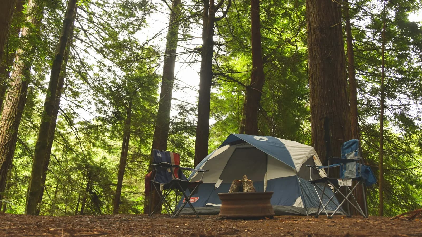 Two folding camping chairs beside a tent in a redwood forest